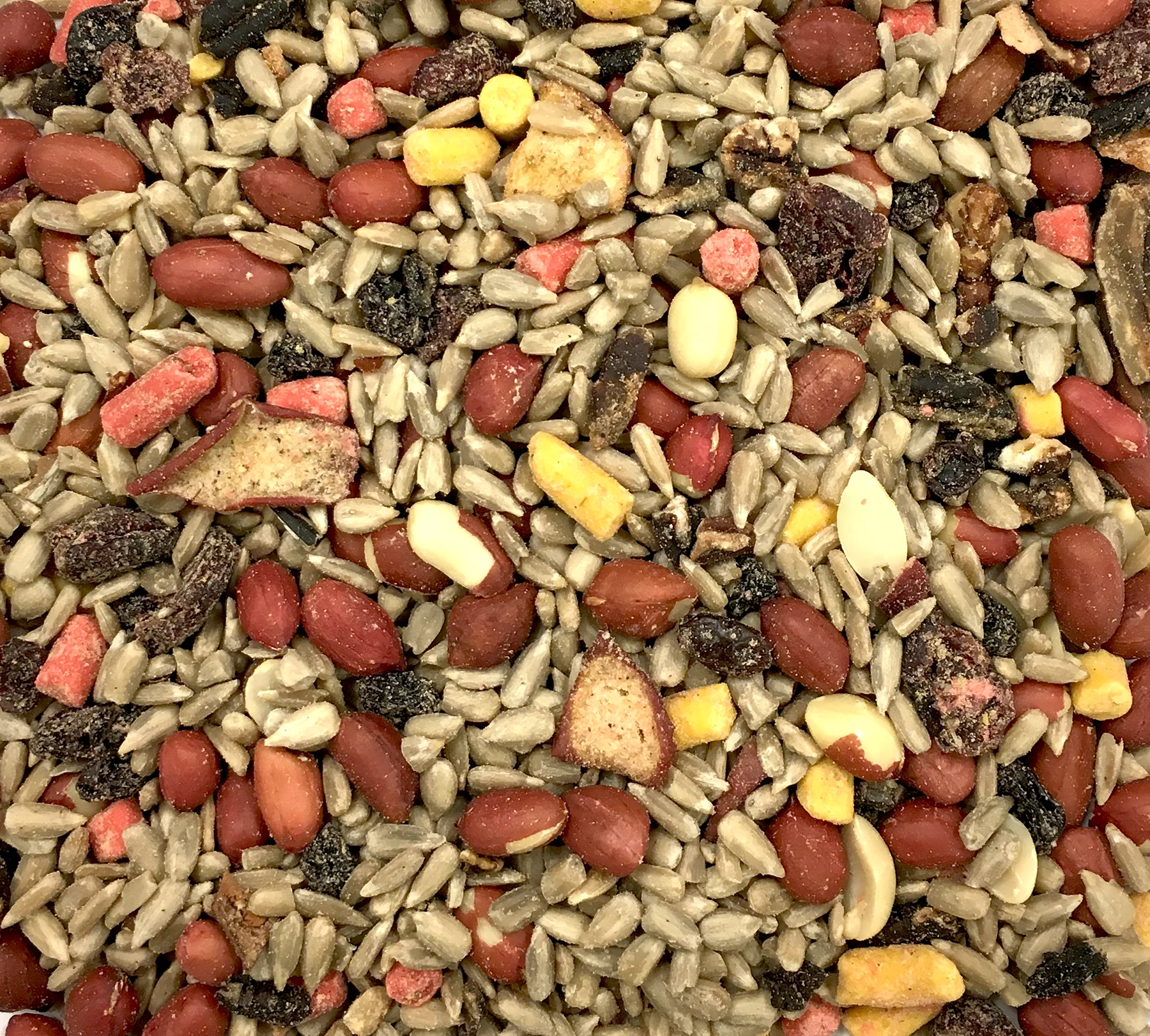 Cole's Nutberry Suet Blend - Image 3