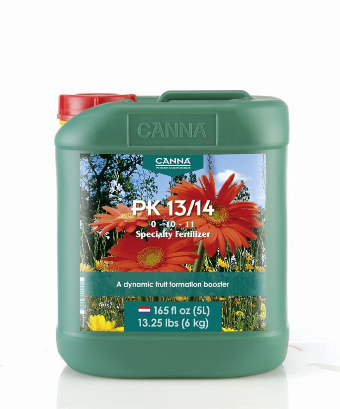Canna PK 13-14 - Image 3