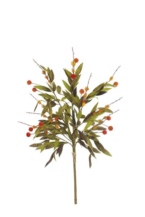 Botanica Collection #1 - Image 13