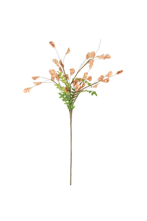 Botanica Collection #1 - Image 15