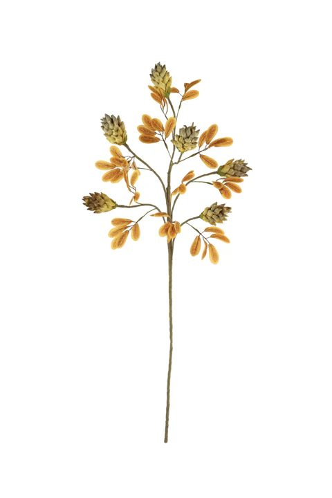 Botanica Collection #1 - Image 16