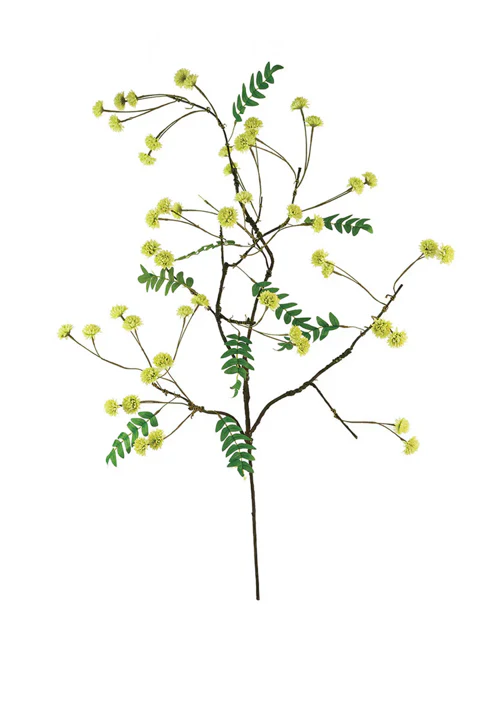 Botanica Collection #1 - Image 3