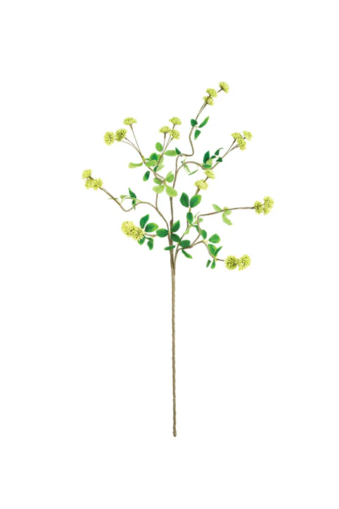 Botanica Collection #1 - Image 5