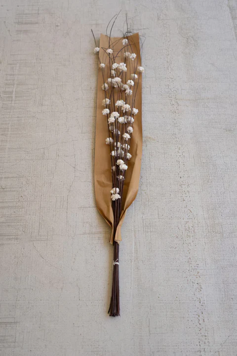 Botanica Collection #1 - Image 6