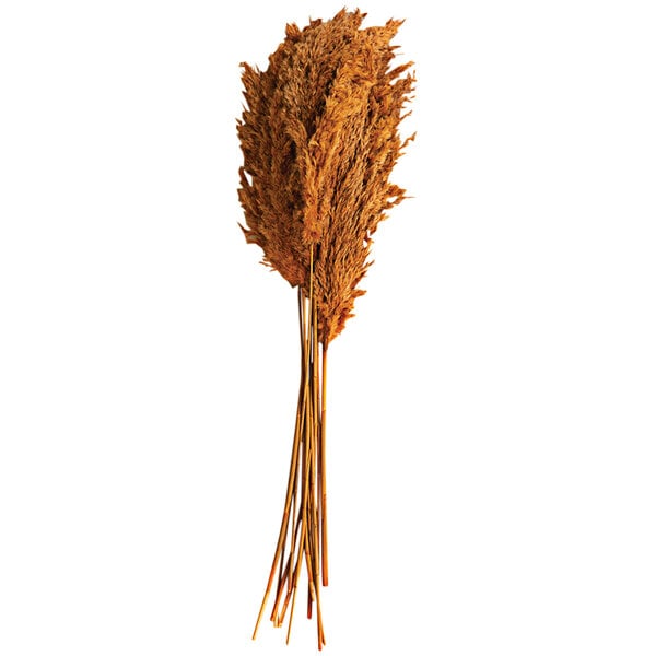 Botanica Collection #1 - Image 7