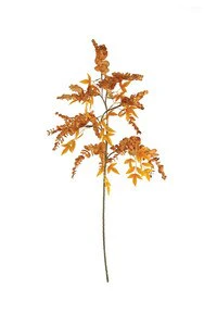 Botanica Collection #1 - Image 8