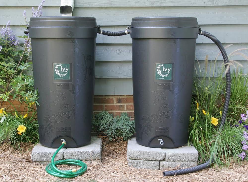 Black Ivy Rain Barrel - 50 Gallon - Image 6