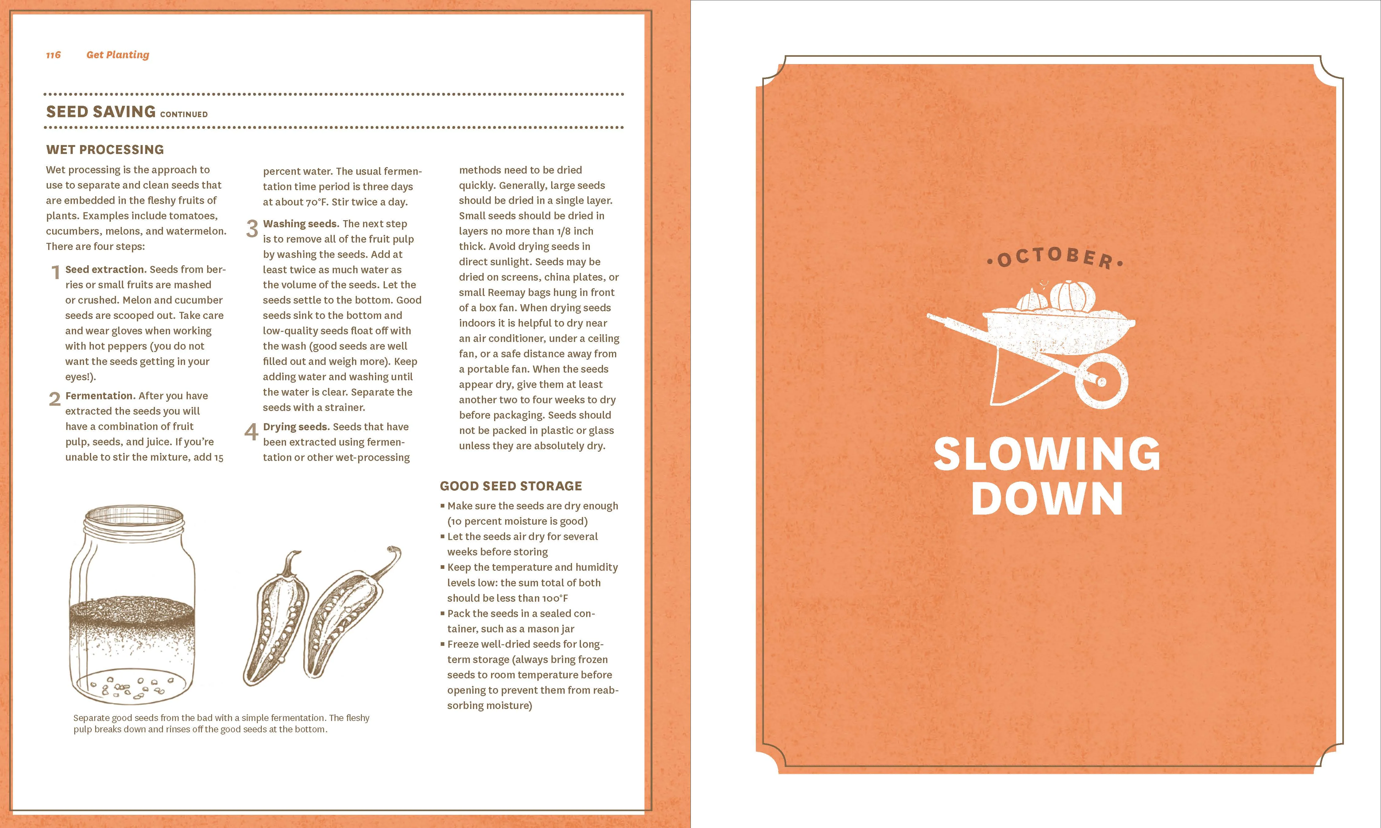 The Timber Press Guide to Vegetable Gardening in the Southeast - Image 5