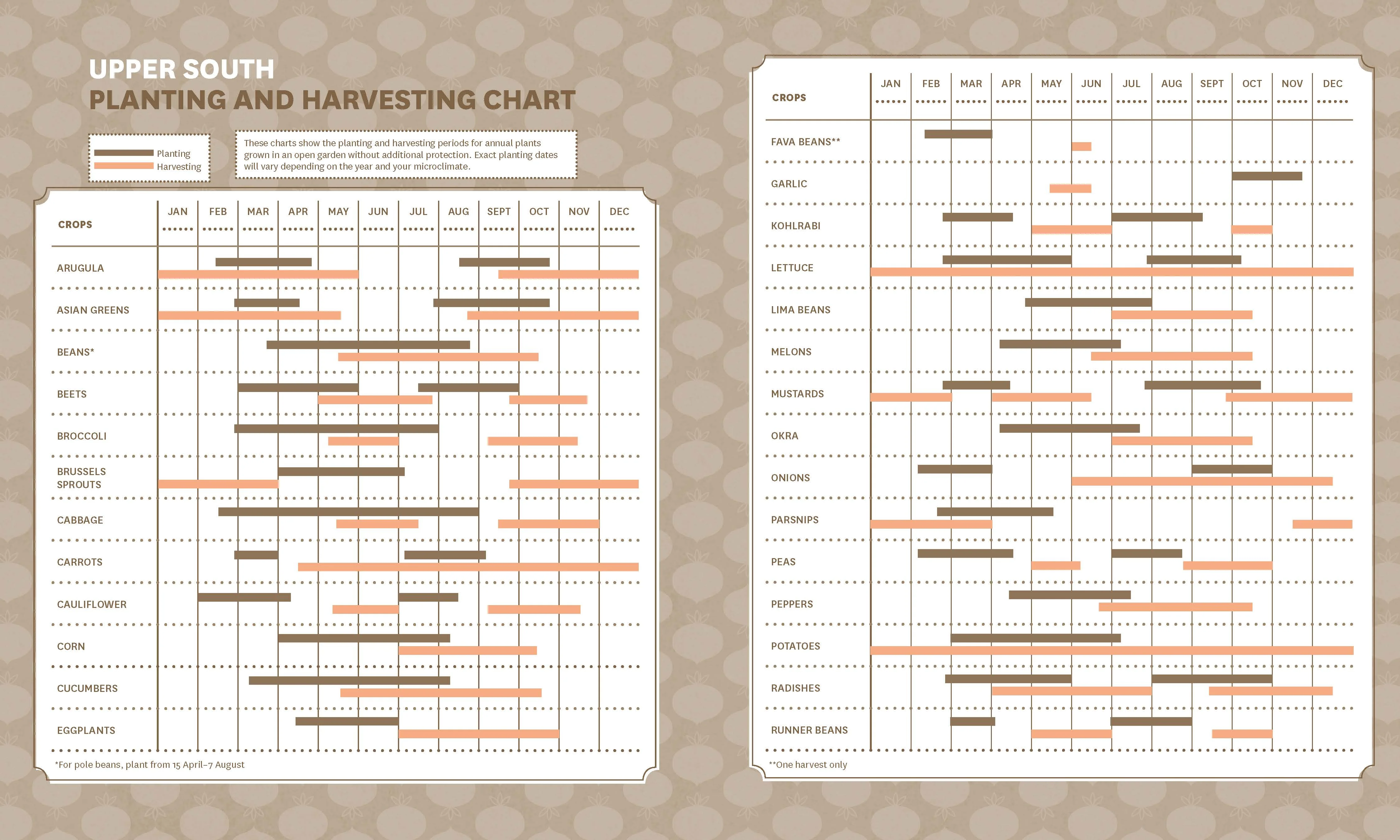 The Timber Press Guide to Vegetable Gardening in the Southeast - Image 6