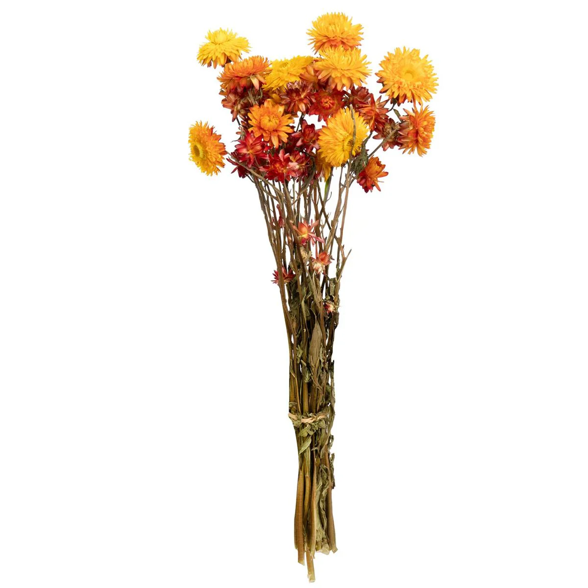 Dried Flower Bouquet - Fall Styles - Image 6